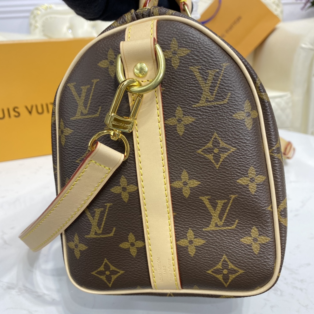 Louis Vuitton SPEEDY BANDOULIERE 25 Monogram Handbag M41113 